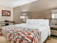 Red Roof Inn Detroit Metro Airport - Taylor Hotels in Taylor