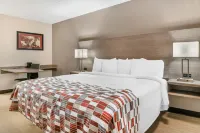 Red Roof Inn Detroit Metro Airport - Taylor Hotels in Southgate