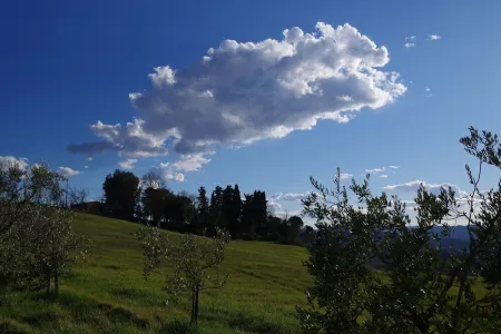 In Chianti along the Francigena - La Voliera Country House