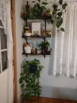 The Butler's Pantry<br>One half of Victorian duplex