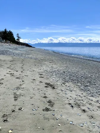 Cozy and Private West Coast Home