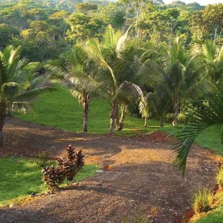 Peaceful ocean view Home in  Ballena Marine National Park.  Walk to Beaches.