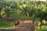 Peaceful ocean view Home in  Ballena Marine National Park.  Walk to Beaches.