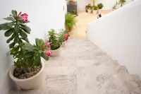 Poolside Villa with Resort Vibes, A/C, and Parking at Stingray Villa in Cozumel