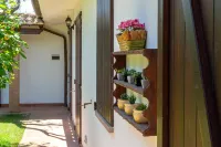 Villa Among Centuries-Old Olive Trees Just Minutes from the Sea - 2-Star