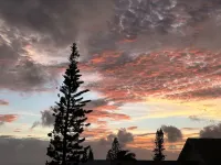 La Voile du Rocher Hotels in Anse Vata