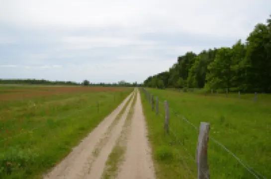 Bright, family-friendly apartment near the beach