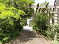Honey Bee Cottage