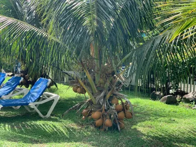 Hôtel Douce Vague Các khách sạn ở 