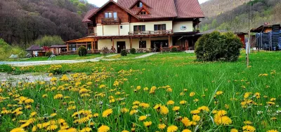 Pensiunea Casiana Hotels in 