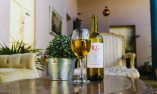 Hotel Brunette Hotels in Santa Ana