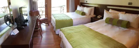 Hotel y Cabañas Las Mellizas - Caja Los Andes Отели в г. Био-Био