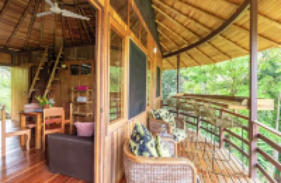 Junglebungalow