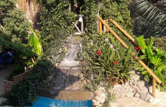 達利安中央公園酒店 - 限成人