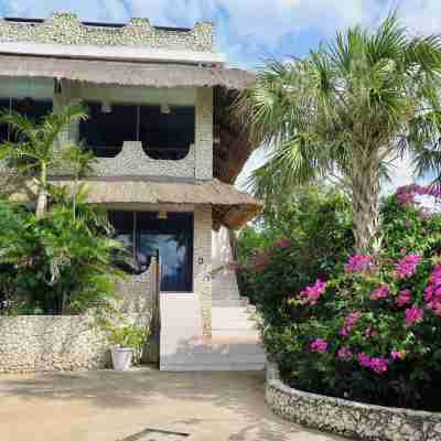 The Wild Orchid Resort - Moalboal Hotel Exterior