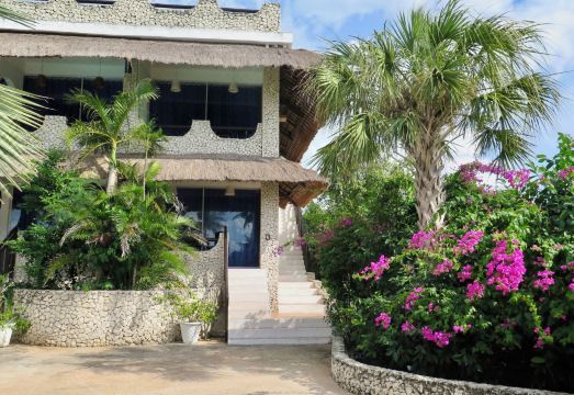 3. 더 와일드 오르..