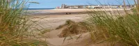 Claxton Hotel - Beach