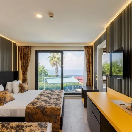 Tema 242 Hotel