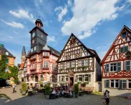 골드카인드 파이너 본- & 슐라프슈투벤 Lautertal 호텔