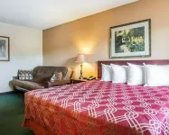 Econo Lodge Springfield I-44 - Haustierfreundliche