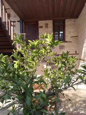 Burhanoglu Konağı Hotels in 