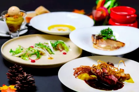 Log Hotel the Maple Lodge