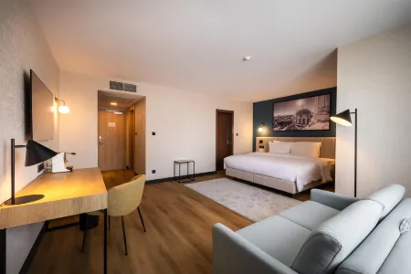 Metropolitan Sofia Radisson Individuals