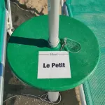 樂佩提飯店 耶索洛住宿飯店