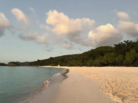 Blue Pearl Villa in St. John USVI, private, gated, 6 bed, 2 bath, private pool.