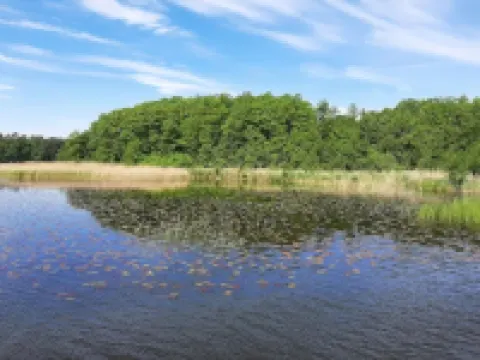 Ferienwohnungen am Mirower See, Mirow Hotels in Mirow
