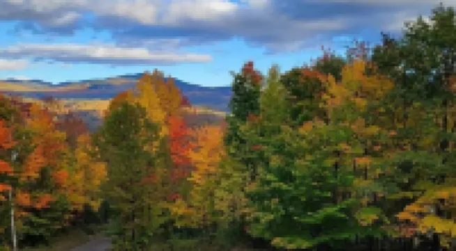 Adirondack Ski Retreat Close to Whiteface Mountain-Sleeps 8!