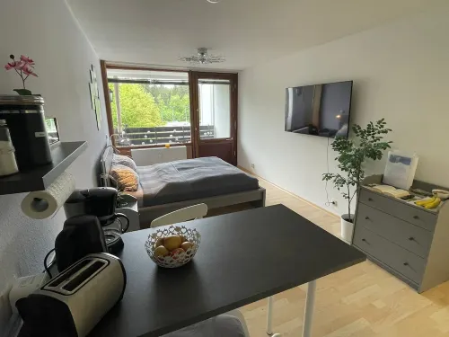 Vacation apartment in Freudenstadt-Kniebis II, Black Forest