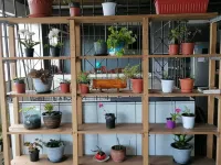 Cozy rooms 5 minutes from the Plaza de Armas Hoteles en 