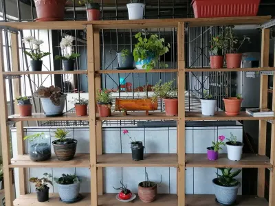 Cozy rooms 5 minutes from the Plaza de Armas Các khách sạn ở 