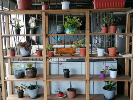 Cozy rooms 5 minutes from the Plaza de Armas Отели в г. Коронель Портильо