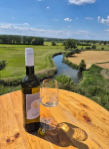 Vacation with a winegrower in the Saale-Unstrut valley!