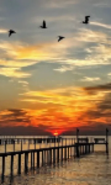 Waterfront Oasis with private pool, Hot tub and 200 ft. Lighted fishing pier