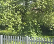 Moderne Wohnung mit Direktem Zugang zum Garten in Wassernähe