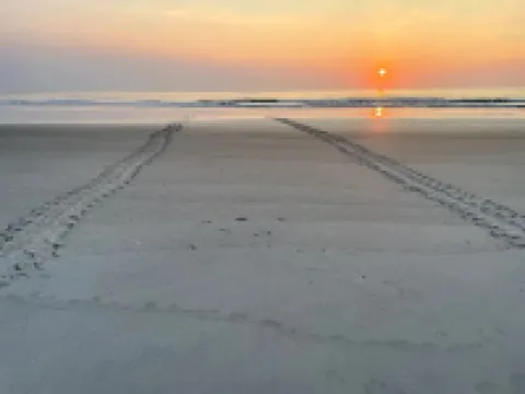 Elevated Beach Haus 克雷森特海灘酒店