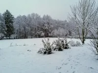 Apartment with Garden View in the Hünsruck-Hochwald,Pet Friendly Hotel a Oberhambach