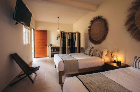 Núiya Hoteles, Centro Hoteles en 