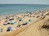 Cozy 3 bedroom cottage in the Heart of Wellfleet Hotels in Wellfleet