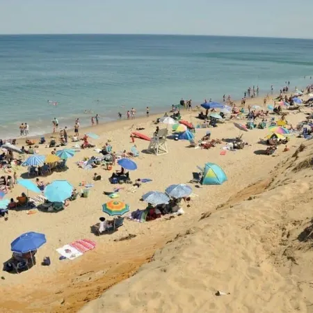 Cozy 3 bedroom cottage in the Heart of Wellfleet