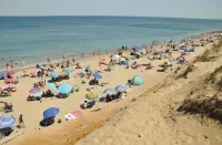Cozy 3 bedroom cottage in the Heart of Wellfleet