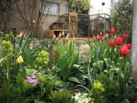 Independent industriel chalet @O&R's