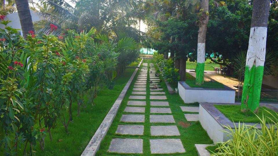 Gandhada Goodu Retreat