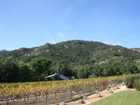 Villa in Plan-de-la-Tour with Pool & Vineyard Views
