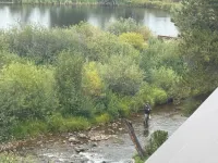 Peaceful cozy place on the river with great views