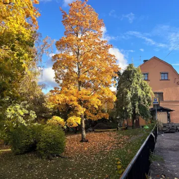 Akademihotellet Hotels in der Nähe von Flogsta