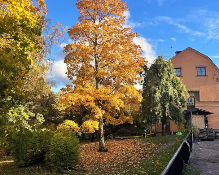 Akademihotellet Hotels in Uppsala